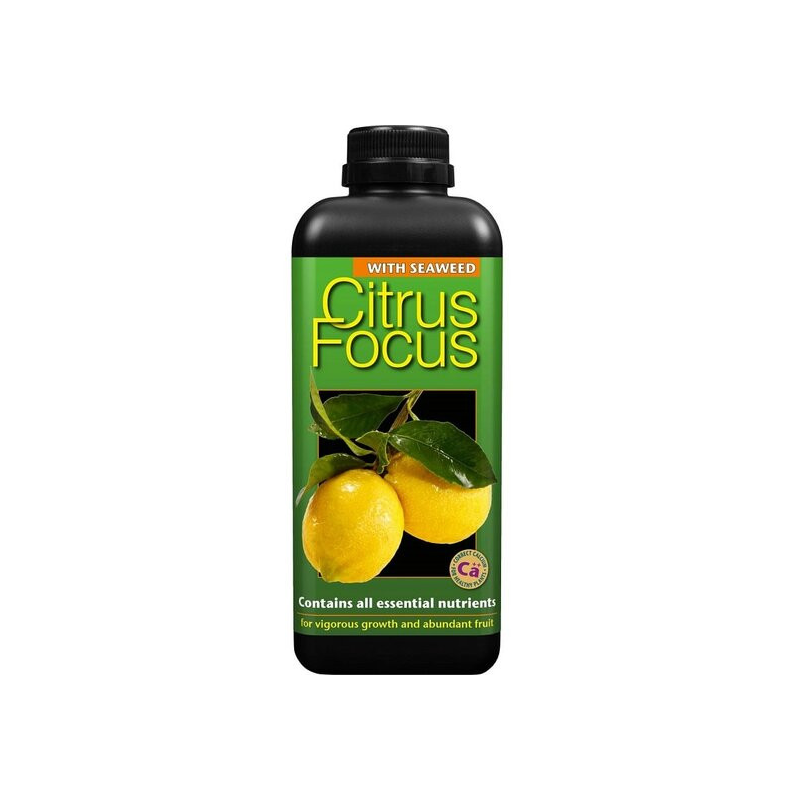 Citrus focus - 1000 ml