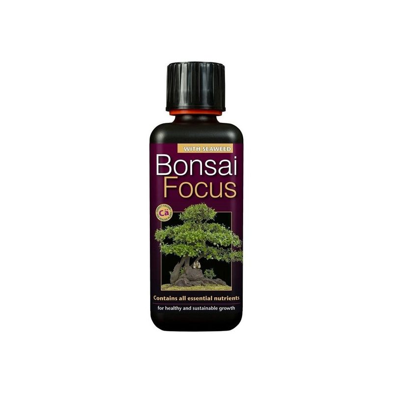 Bonsai Focus - 300 ml