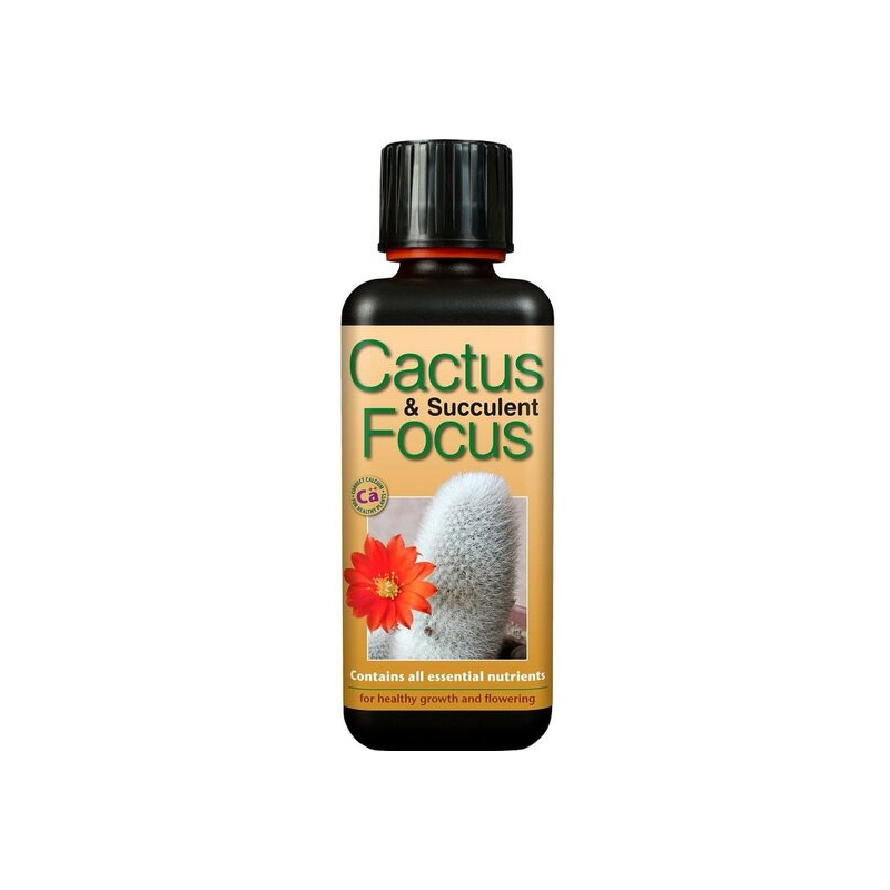 Cactus focus 300 ml