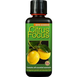 Citrus focus - 300 ml