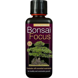 Bonsai Focus - 300 ml