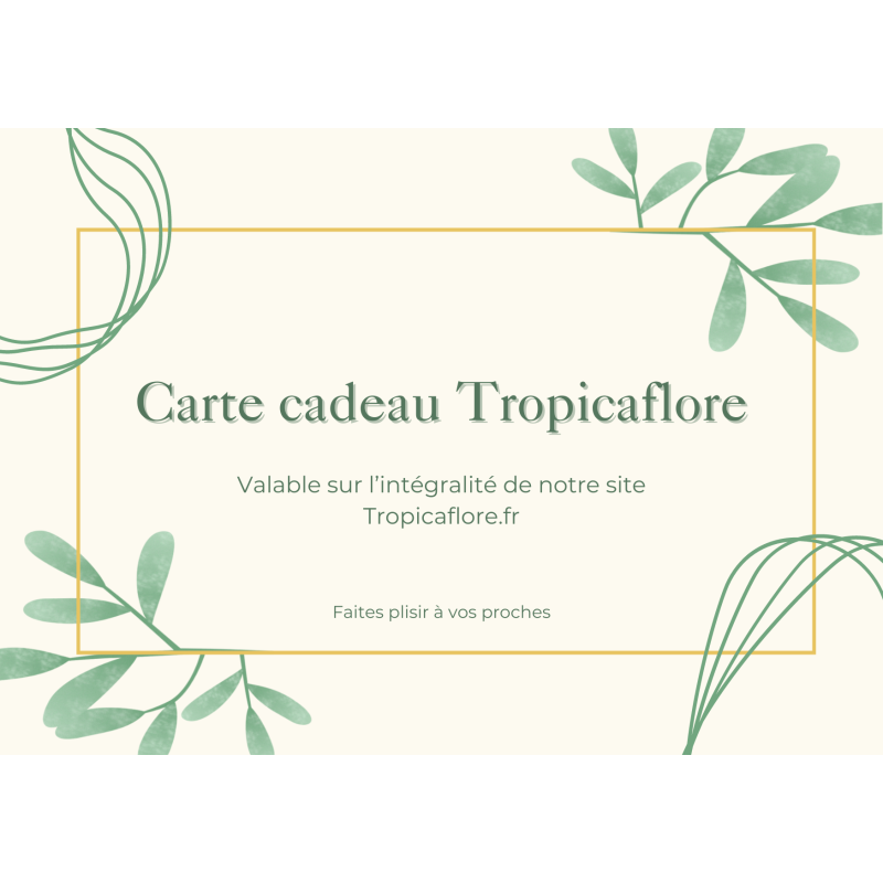 e-carte-cadeau-tropicaflore