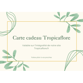 e-carte-cadeau-tropicaflore